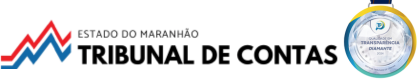 Tribunal de Contas do Estado do Maranhão
