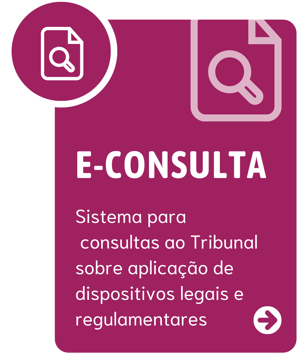 e-Consulta